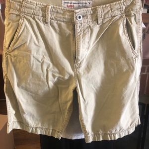 American Eagle Men’s Shorts